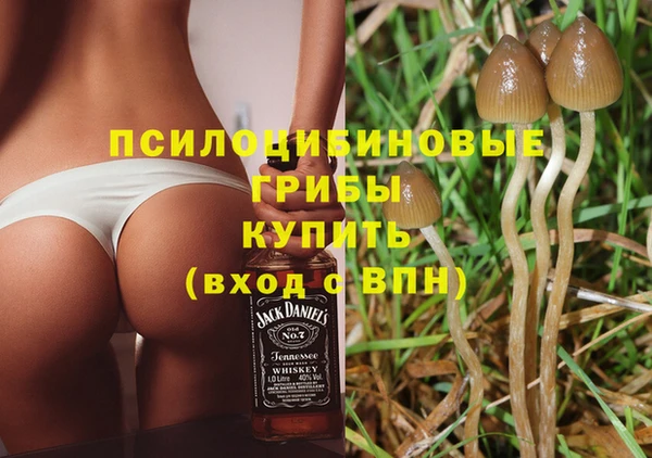 каннабис Гусь-Хрустальный