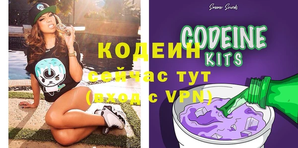 дживик Кострома