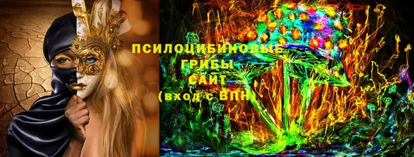 дживик Кострома
