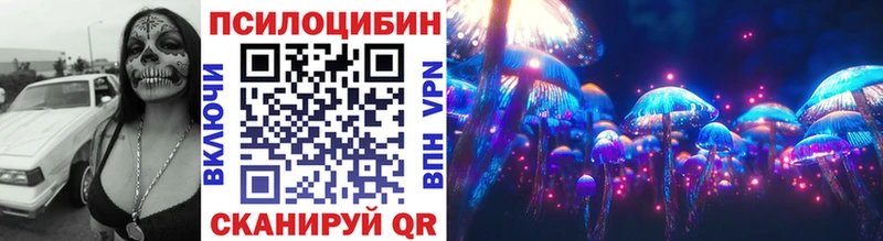 как найти закладки  Белокуриха  Псилоцибиновые грибы прущие грибы 